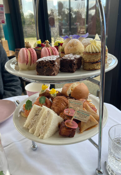 Weekday High Tea Experience at the Chocolaterie