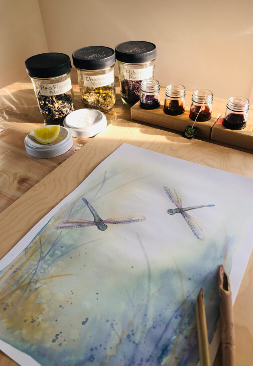Whimsical Watercolour Dragonflies with Natural Pigments Workshop