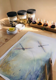Whimsical Watercolour Dragonflies with Natural Pigments Workshop