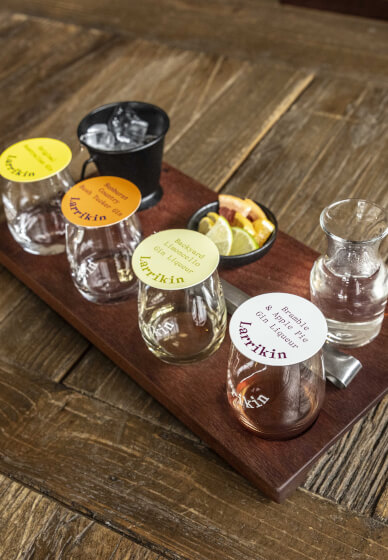 Whisky and Gin Tour and Tasting