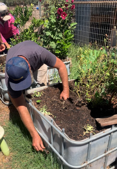 Wicking Garden Bed Making Workshop