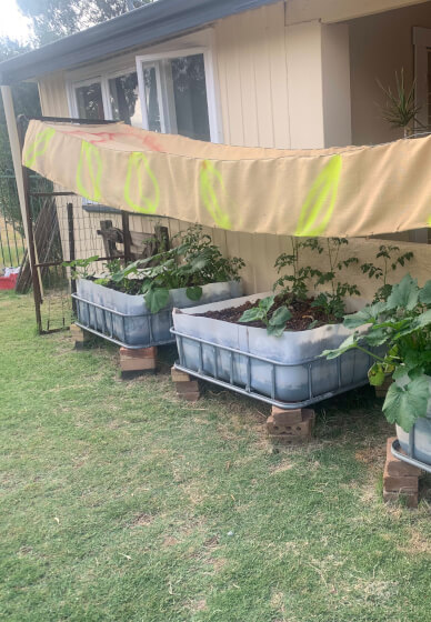 Wicking Garden Bed Making Workshop