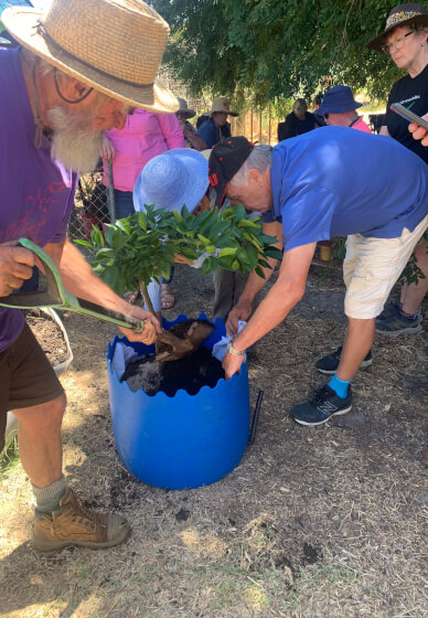 Wicking Garden Bed Making Workshop