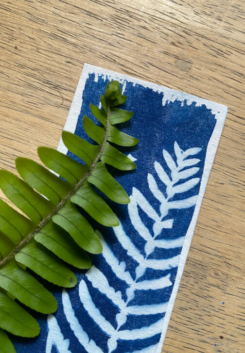Wild Art – Cyanotype Basics Experience