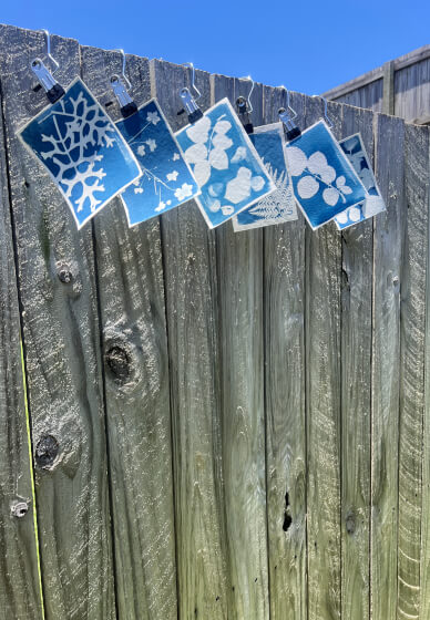 Wild Art – Cyanotype Self Portrait Experience
