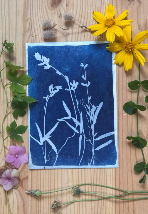 Wild Art – Cyanotype Self Portrait Experience
