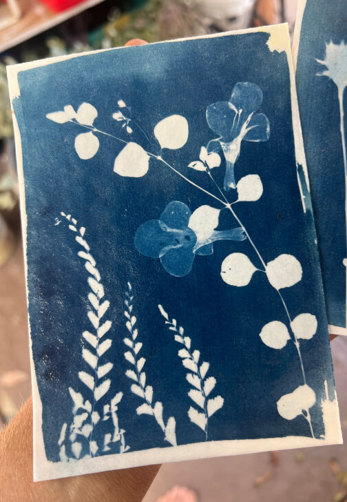 Wild Art – Cyanotype Self Portrait Experience