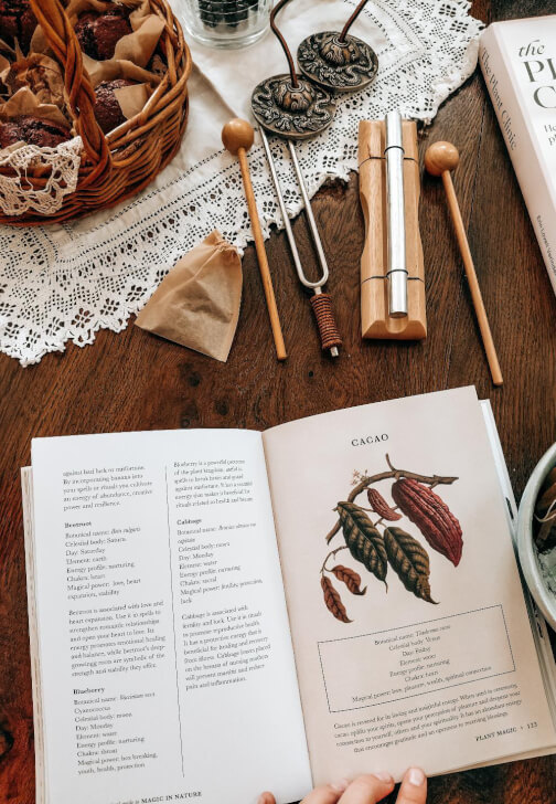 Wild Wisdom Mini Workshop: A Curated Nature Experience