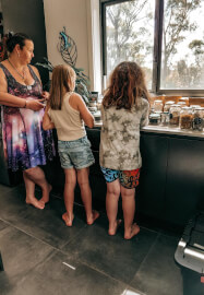 Wild Wisdom Mini Workshop: A Curated Nature Experience