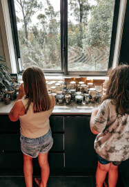 Wild Wisdom Mini Workshop: A Curated Nature Experience