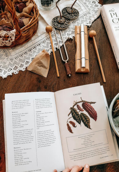 Wild Wisdom Workshop: A Curated Nature Experience