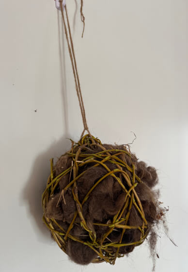 Willow Nesting Ball Weaving Workshop