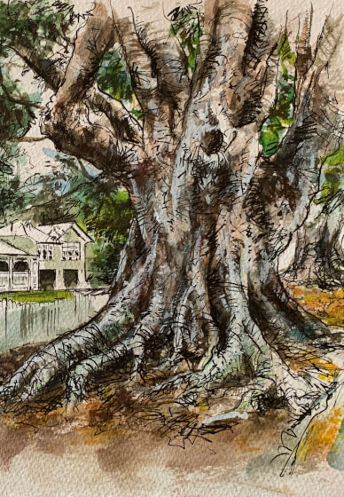 Wine and Watercolour Wednesdays Class