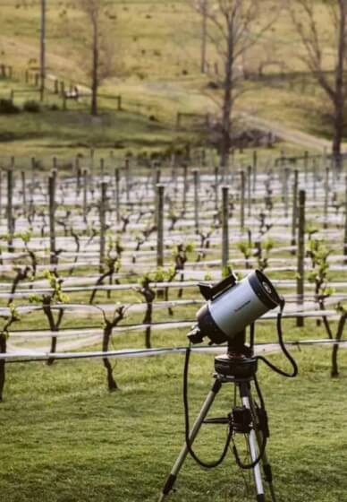 Wine, Cheese, and Stargazing Experience