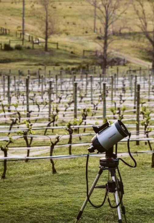 Wine, Cheese, and Stargazing Experience