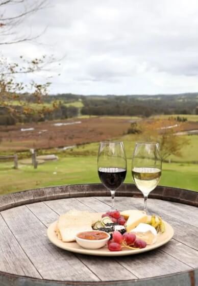 Wine, Cheese, and Stargazing Experience