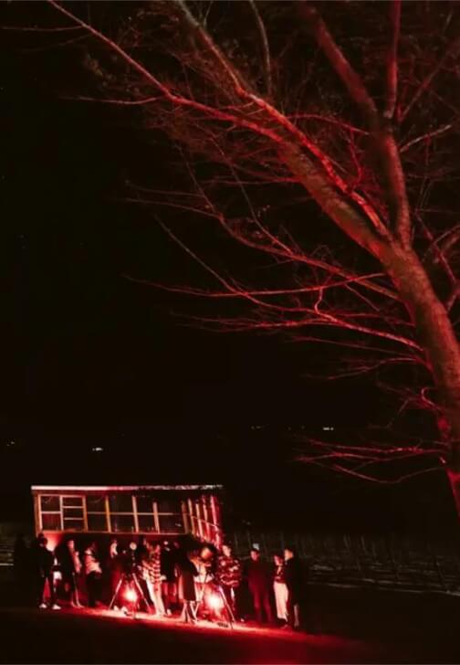 Wine, Cheese, and Stargazing Experience