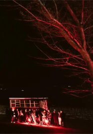 Wine, Cheese, and Stargazing Experience