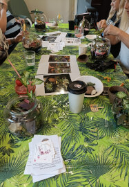 Winter Terrarium Workshop