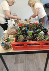 Winter Terrarium Workshop