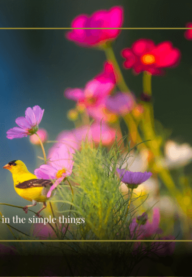 Women's Spring Spiritual Retreat Workshop