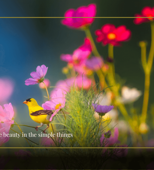 Women's Spring Spiritual Retreat Workshop