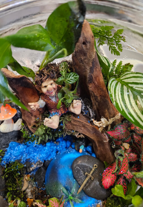 Wood Feature Terrarium Workshop