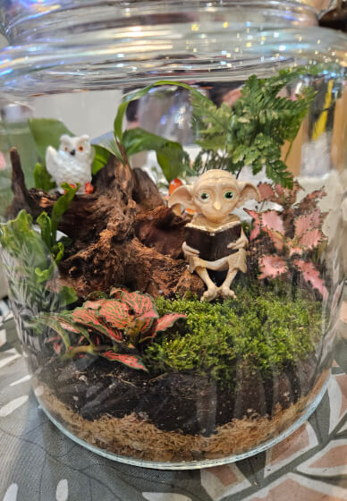Wood Feature Terrarium Workshop