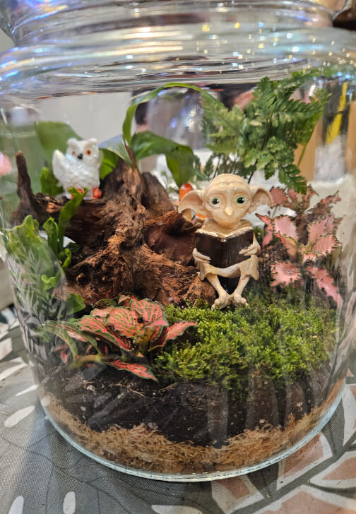 Wood Feature Terrarium Workshop