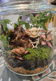 Wood Feature Terrarium Workshop