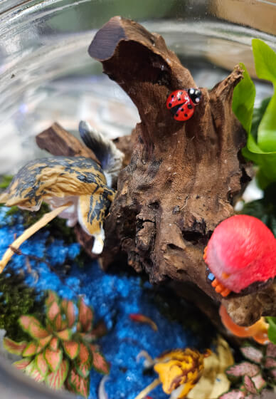 Wood Feature Terrarium Workshop
