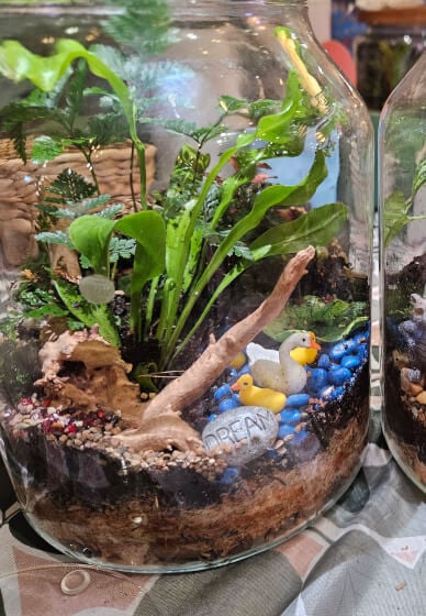 Wood Feature Terrarium Workshop