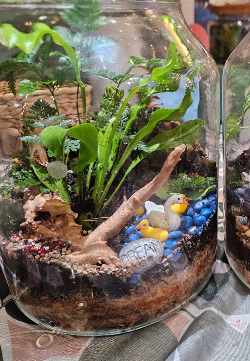Wood Feature Terrarium Workshop