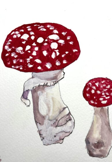 School Holiday Woodland Illustration Workshop for Kids
