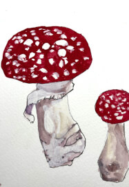 School Holiday Woodland Illustration Workshop for Kids