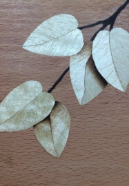 Woodworking Course: Double Bevel Marquetry with Peter Young