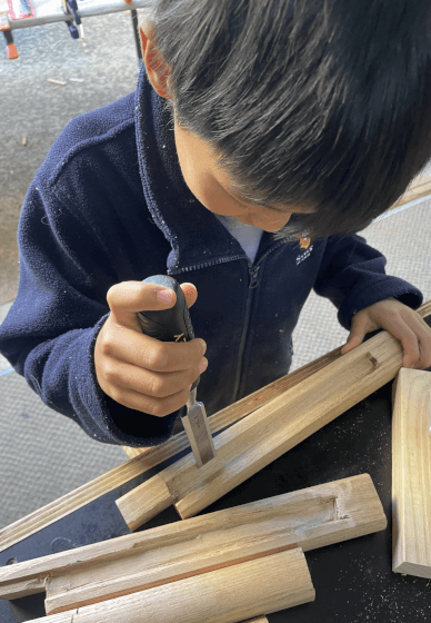 Woodworking Term Programme: Weekly Lessons