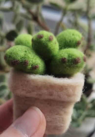 Wool Felt Experience Workshop