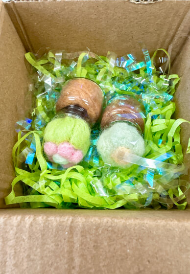 Wool Felt Experience Workshop