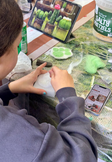 Wool Felt Experience Workshop
