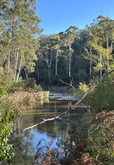 Workshop Landscape Painting Outdoors