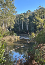 Workshop Landscape Painting Outdoors