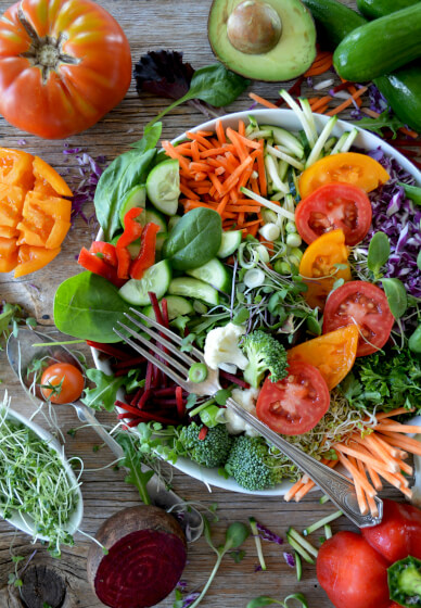 Workshop: Une Alimentation Saine Et Ludique Pour Les Enfants