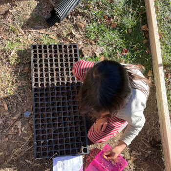 Growing fine-motor skills and patience 