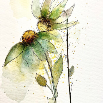 2- Flower with black outline