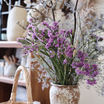 Listen to the Teacher to Introduce the Guide