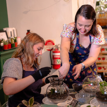 Construct your terrarium