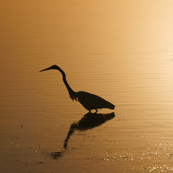 3. Get Perfect Colour