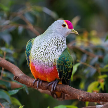 4. Master Your Focusing