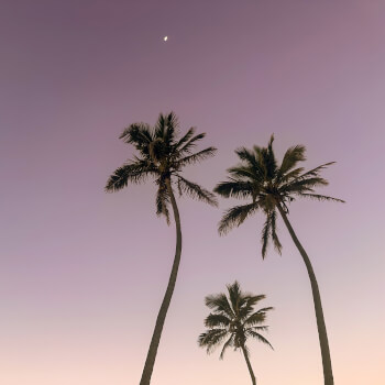 7. Lenses And Focal Lengths